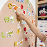 Curious Columbus  - Dinosaur Magnets + Magnetic Alphabet Letters