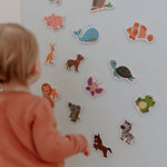 MagPlay Animal Magnet Kit - MagPlay