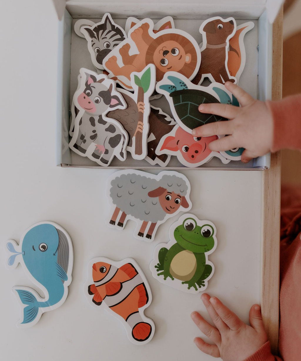 MagPlay Animal Magnet Kit - MagPlay