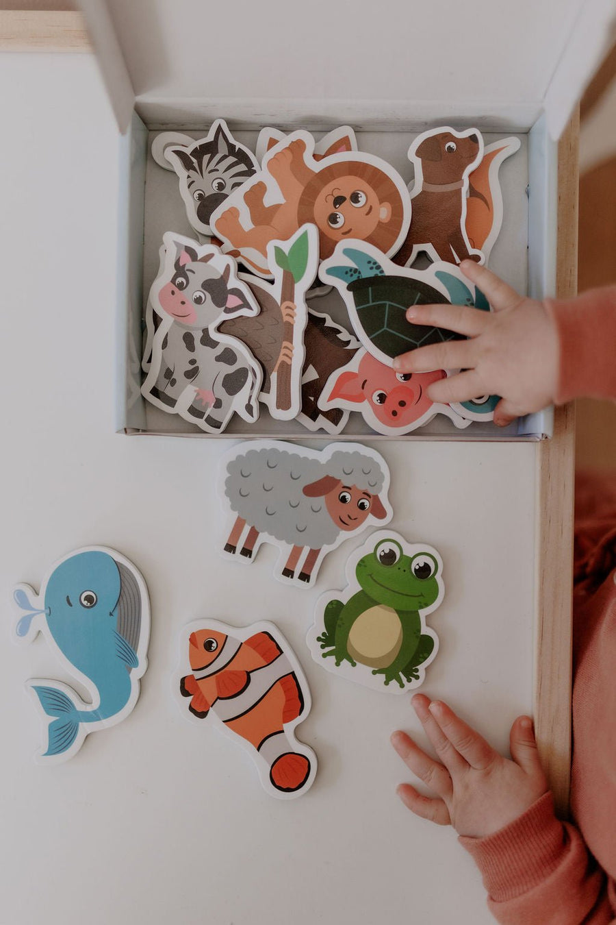 MagPlay Animal Magnet Set | Safer First Magnets for Toddlers