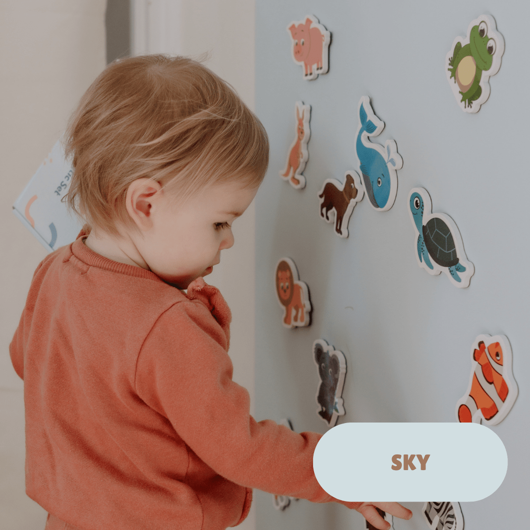 NEW: MagPlay Magnetic Wall Decal 2.0 WallKind™ - Kind to walls, Bigger & Rental - Friendlier - MagPlay